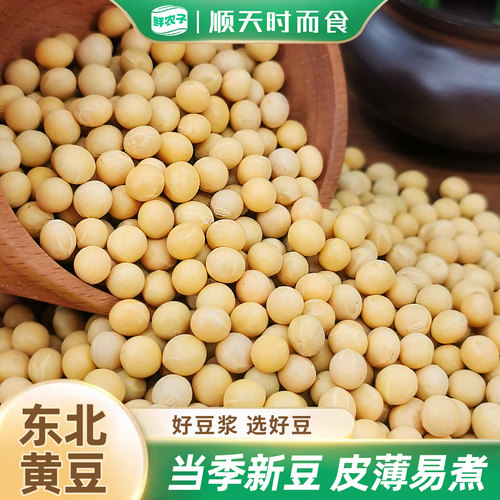东北大豆非转基因新豆农家自种黄豆粗粮生豆芽打豆浆专用豆子500g