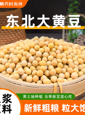新货 东北黄豆新鲜大豆非转基因黄豆大豆子豆浆原料五谷营养早餐