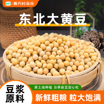 新货 东北黄豆新鲜大豆非转基因黄豆大豆子豆浆原料五谷营养早餐