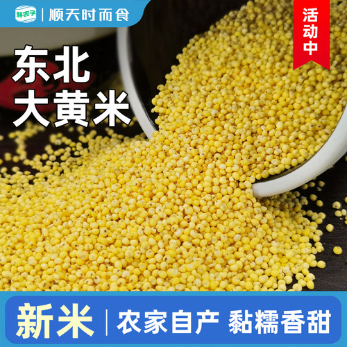东北大黄米新米正宗黄米饭黏糯营养五谷杂粮饭主食农家当季粗粮