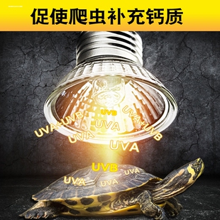 uvb二合一全光谱夜灯爬宠蜥蜴灯uva乌龟晒背太阳灯泡守宫补钙专用