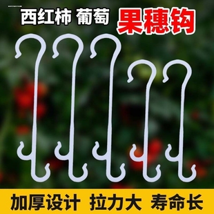 大棚西红柿番茄吊穗挂钩辣椒蓝莓葡萄专用挂钩吊果勾吊蔓挂秧钩子