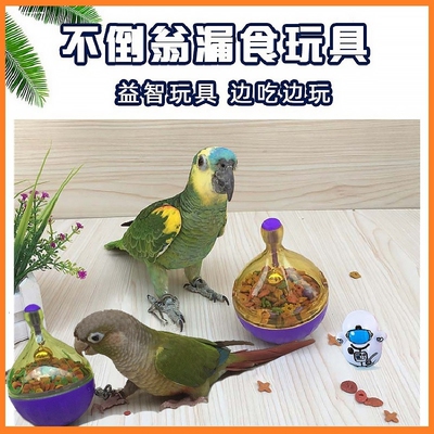 鸟玩具用品牡丹玄凤塞内灰鹦鹉训练觅食不倒翁蘑菇钉玩具盘益智类