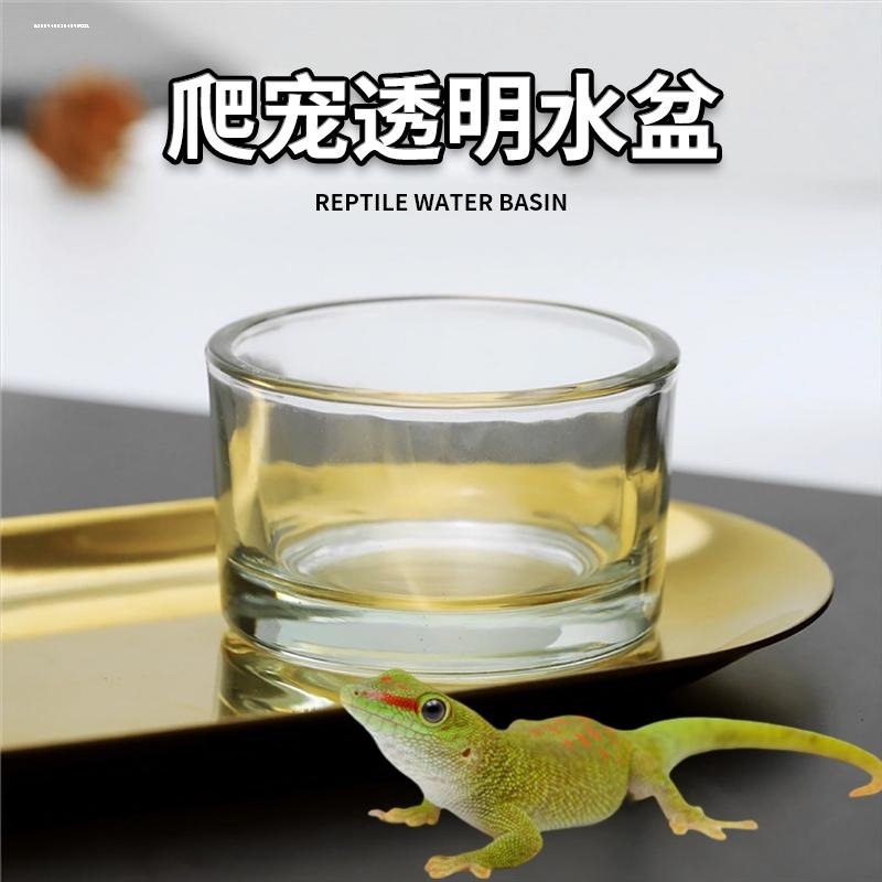 蜘蛛仓鼠用品爬宠小食碗爱心防破吃饭寄居蟹迷你专用仓鼠玻璃食盆