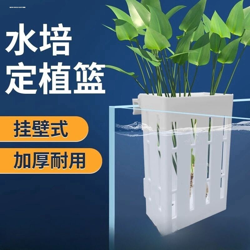 鱼缸定植篮水培植物固定架壁挂式龟缸造景装水养绿植杯方形筐装饰图片