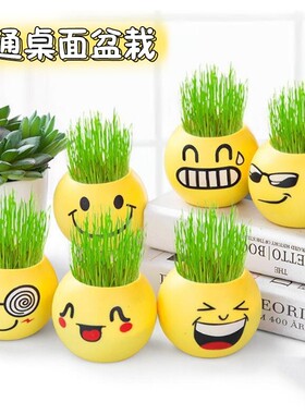 长草娃娃桌面绿植 趣味负离子表情盆栽 可爱农场植栽创意种植植物