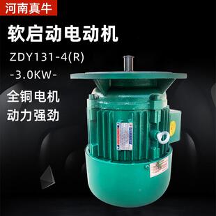 河南真牛锥形软启动电机 起重机单梁行吊运行软启动电机 ZDY131