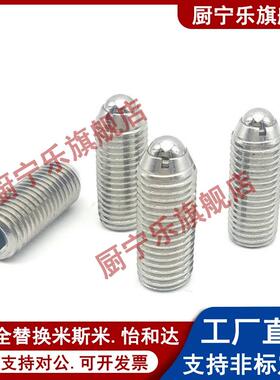 BSJL3/4/5/6/8/10/12/16加长型内六角304不锈钢球头柱塞