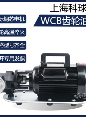 速发5海科物齿轮油泵W75/7上0W柴油型抽甲醇菜籽油植球油泵全铜