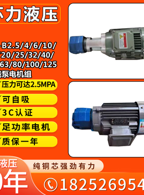 速发BB-BZ0/B6/B4J1Z线齿轮油泵组BB-B50JZ/B6J摆/B40JZ/125JZ