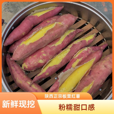 陕西板栗红薯5斤现挖现发