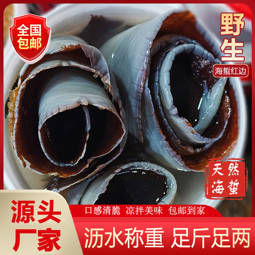正宗野生红海蜇边海蜇头桶装裙边