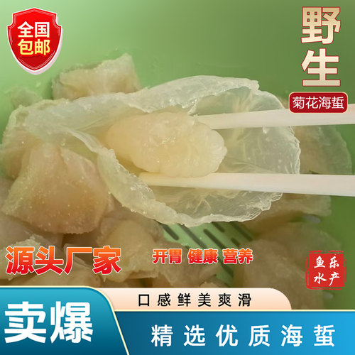 鱼乐水产[包邮]深海菊花海蜇水母花可炒可煮，同酒店饭店营养健康