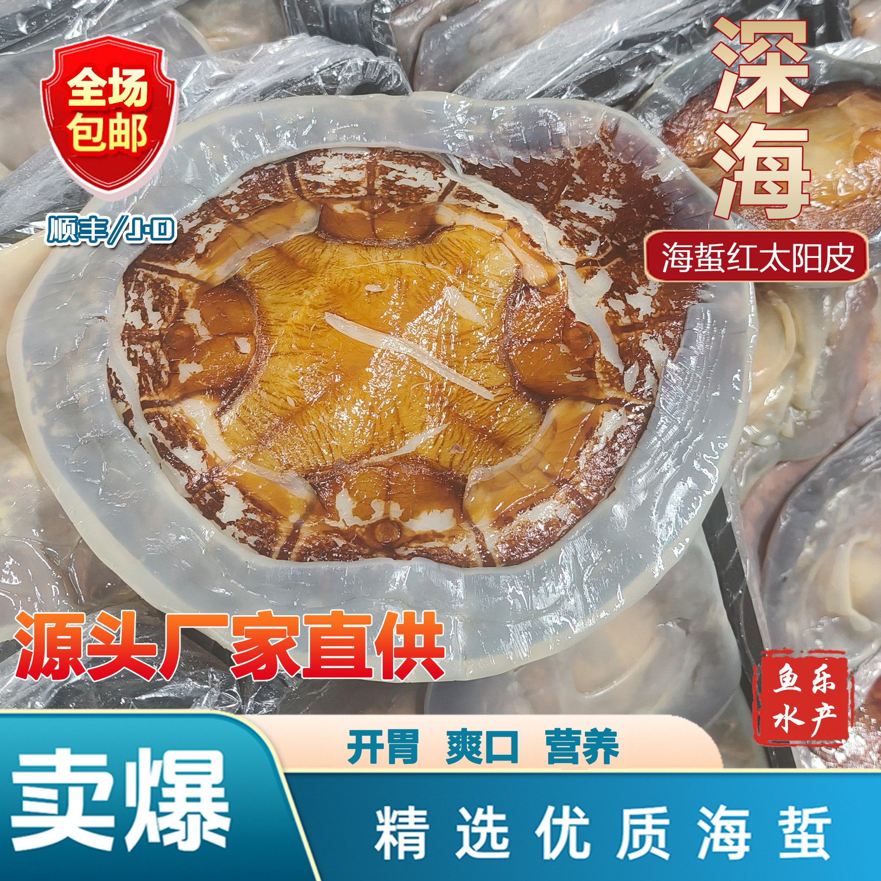 正宗红太阳海蜇红干皮 提干凉拌爽口下酒菜非即食[包邮]鱼乐水产