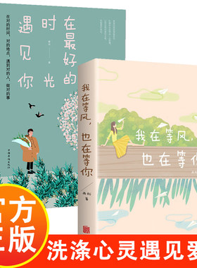 女性励志书籍 正版在最好的时光遇见你我在等风也在等你 一本洗涤心灵遇见爱情的书籍
