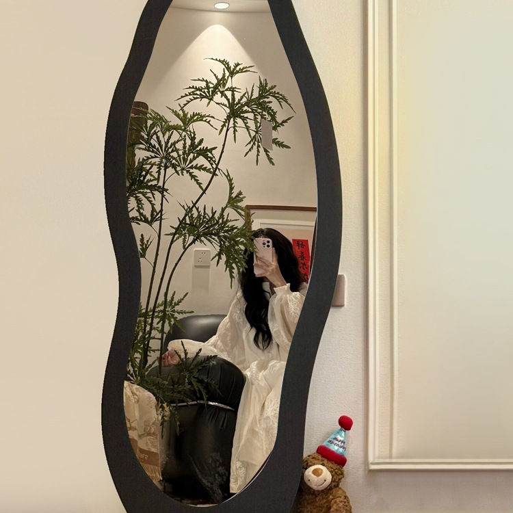 中古全身镜落地镜家用高级感网红异形穿衣镜壁挂女生卧室试衣镜子