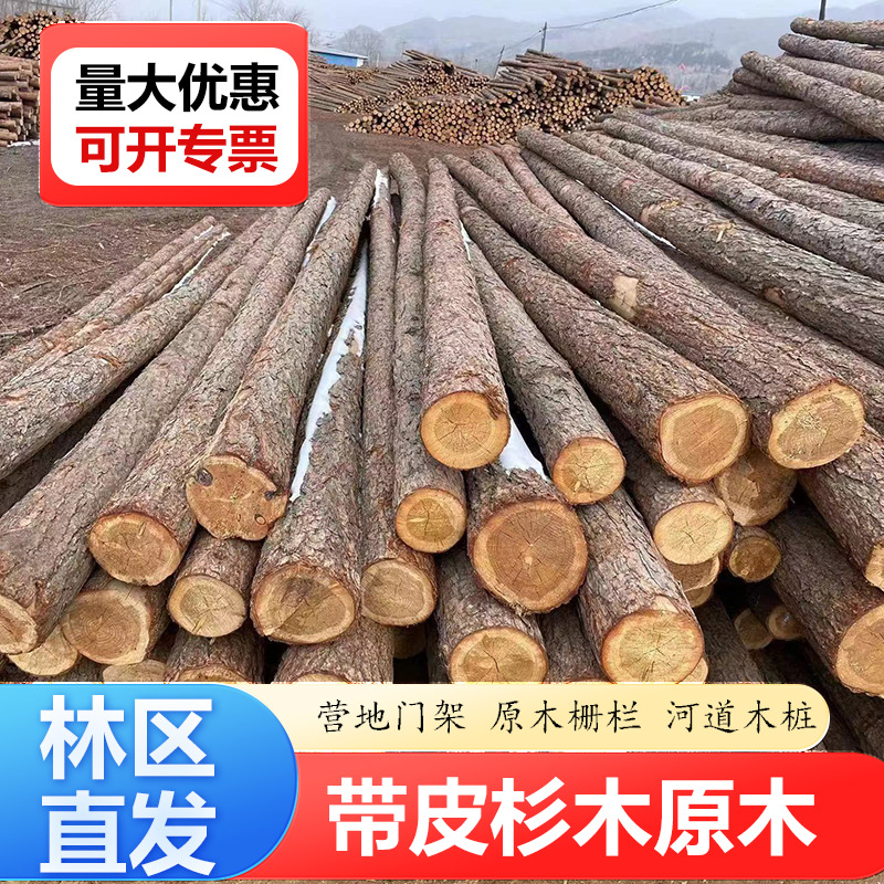 杉木桩河道打桩木支撑杆围栏墩杉树带皮尖头木桩原木造景篱笆木桩