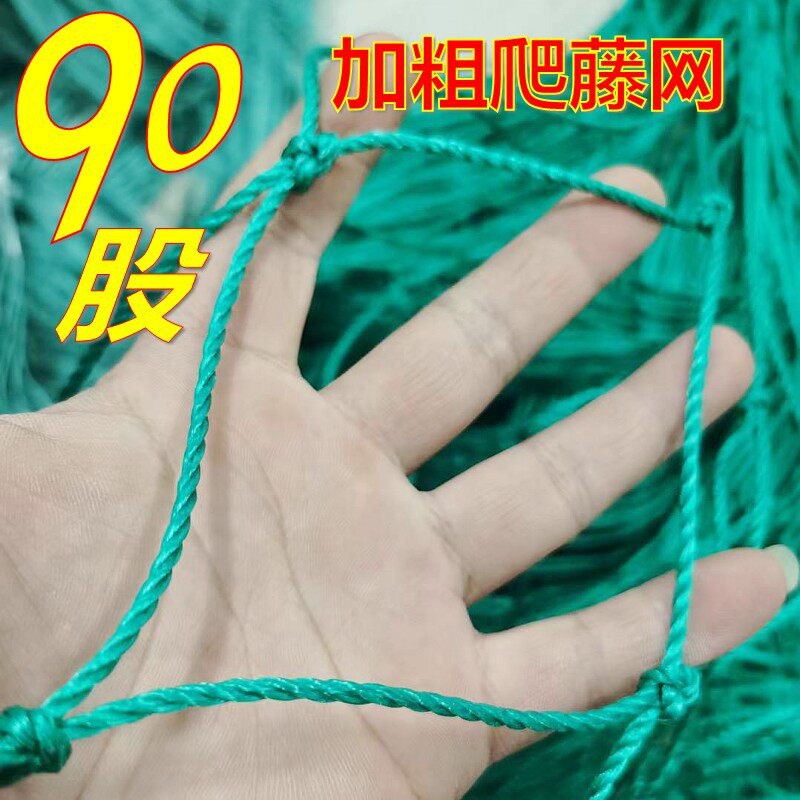 速发爬藤网植物花卉瓜果丝瓜吊瓜苦瓜南瓜葡萄豆角百香果爬藤网攀