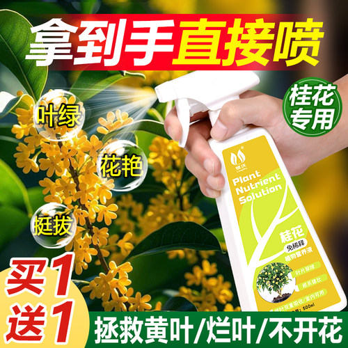 速发桂花树专用肥盆释免稀栽营养通枯叶病肥料开花肥料植物治黄叶