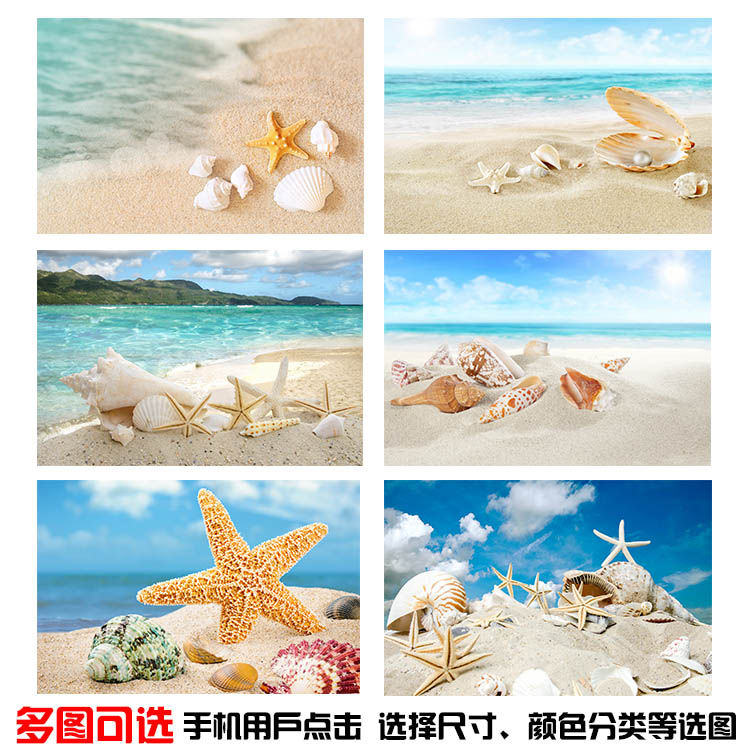 速发沙滩贝壳海星风景画海边海报装饰画卧室房间宿舍儿童房贴墙画图片