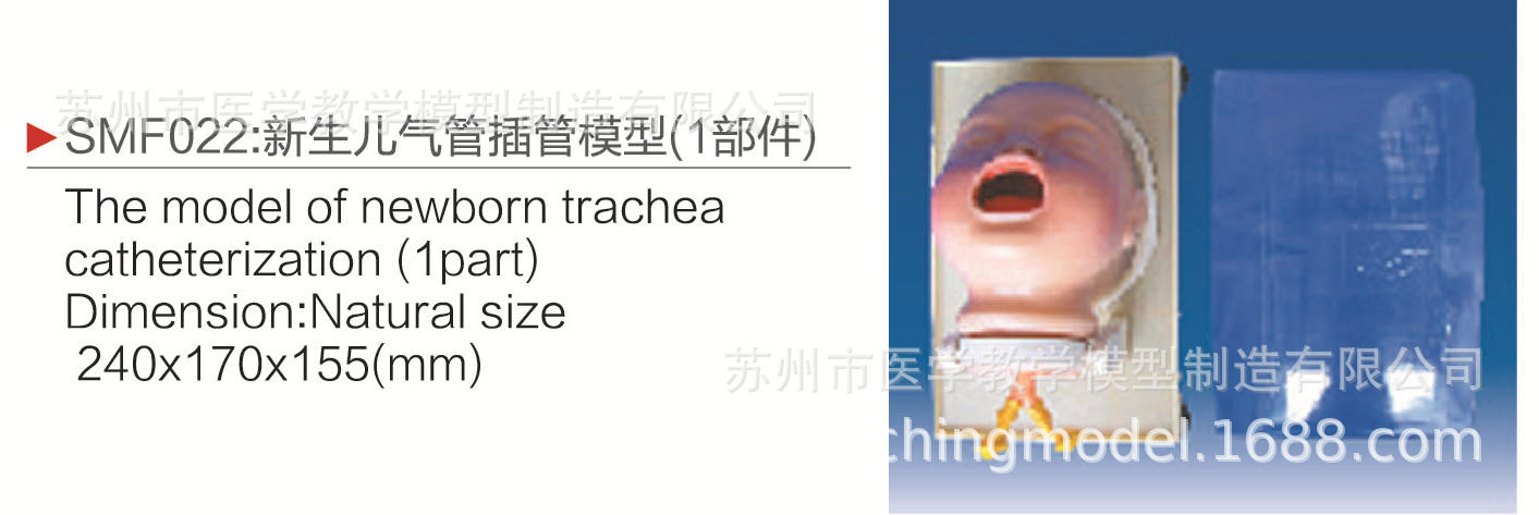 SMF022新生儿气管插管模型(1部件)