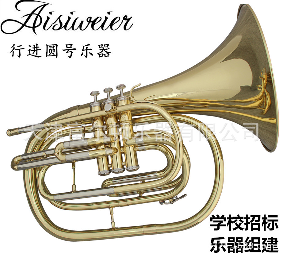 学校招标降B调三立健圆号乐器