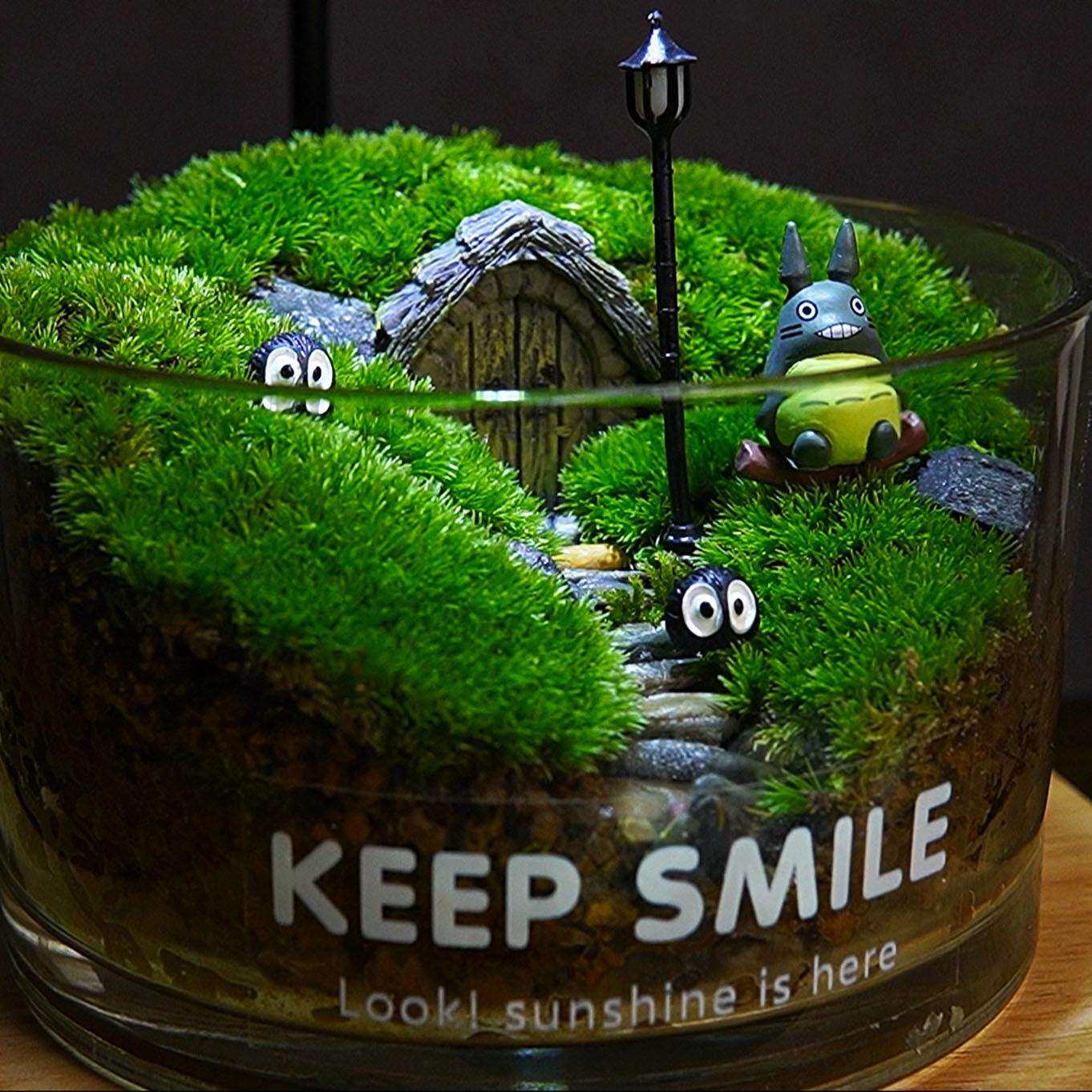 苔藓微景观私人摆件绿植草坪微景观生态瓶桌面成品懒人办公室植物