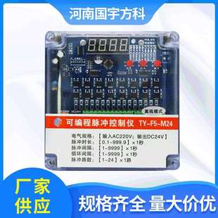 离线脉冲控制仪可调TY M24门24V数显控制器防水防尘脉冲控制仪