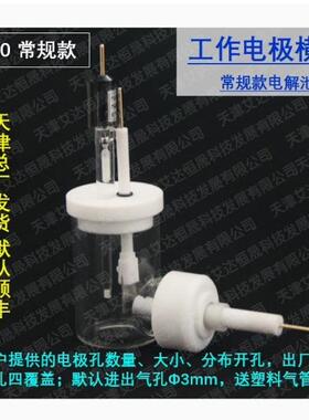 天津艾达恒晟工作电极横向C040常规/C040-S密封原厂发货