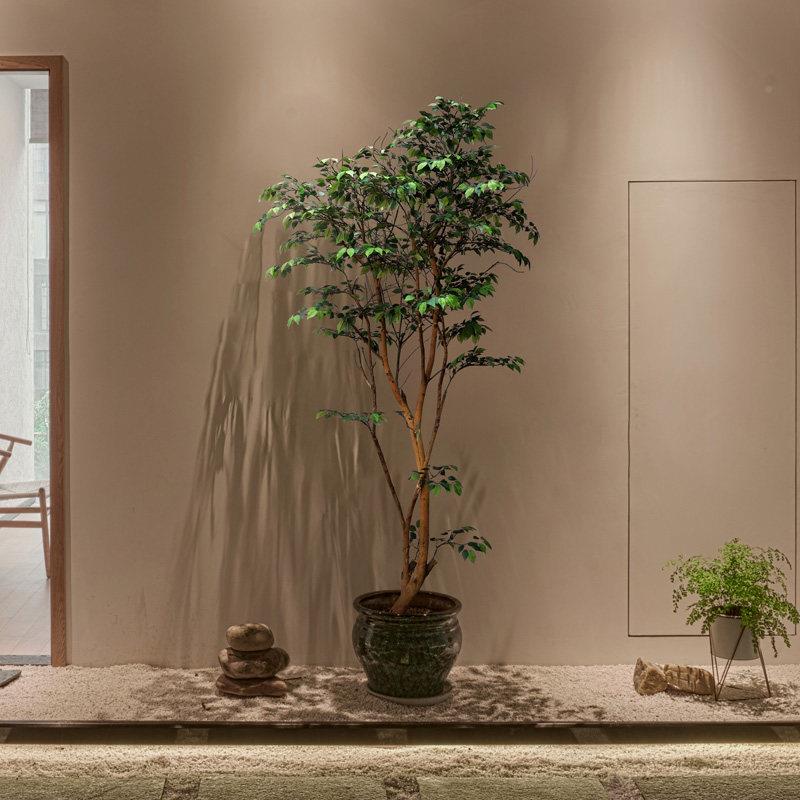 仿真高端小榕树榕树AS盆室内假绿装饰客植厅高级仿栽落生植物景观