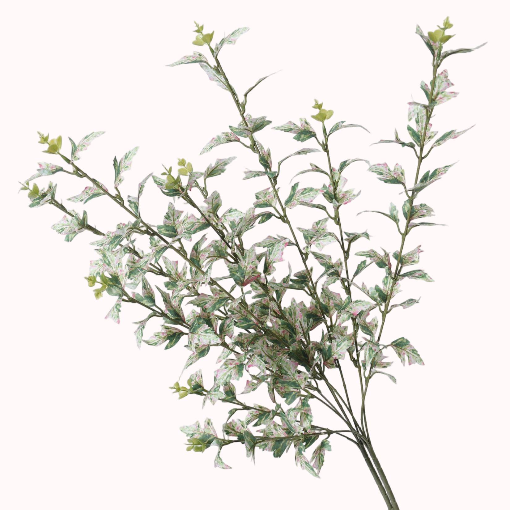 仿真绿植叶子白边叶万年青假花高级婚礼造景绿叶插花装饰道具