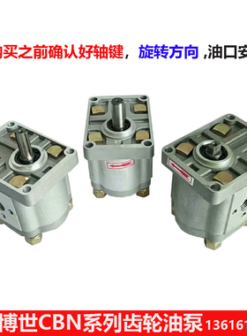 液压油泵齿轮泵CBN-E304 E306  E310 E314 E316 E320 E325 E308