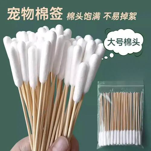 猫咪耳部棉签棉棒清理耳螨洗耳