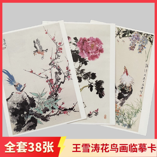 王雪涛花鸟画临摹册页 写意国画花鸟高清印刷