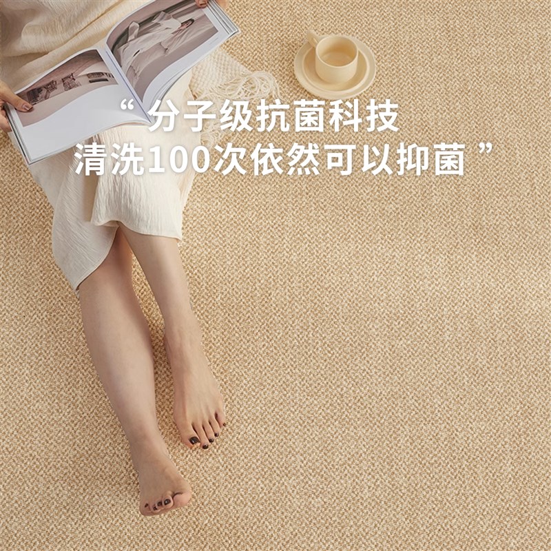 宋氏美学地毯客厅20新款纯色耐脏免打理侘寂卧室床边茶几地垫