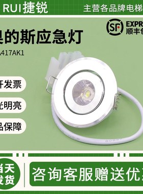 适用奥的斯电梯应急灯XAA417AK1轿厢照明灯306-11圆筒灯原装DC12V