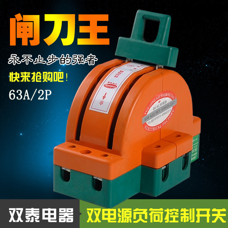 双泰电器 STSHK11-63A/2P 双电源负荷家用闸刀开关 双投转换开关
