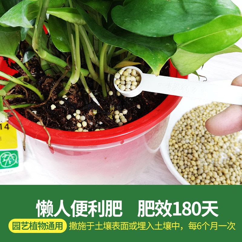 速发颗粒缓释肥绿萝花肥盆栽肥必开花绿利长效肥便卉多肉花萝兰花