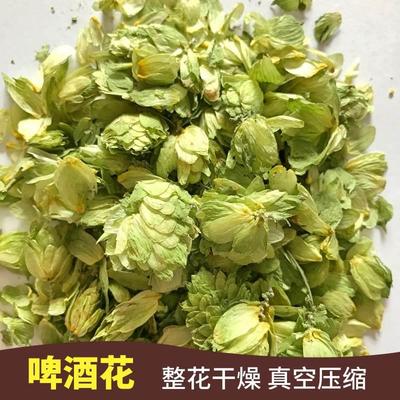 自酿精酿颗粒啤酒花原料香型香花原花 干花 香气浓郁啤酒花茶酵母