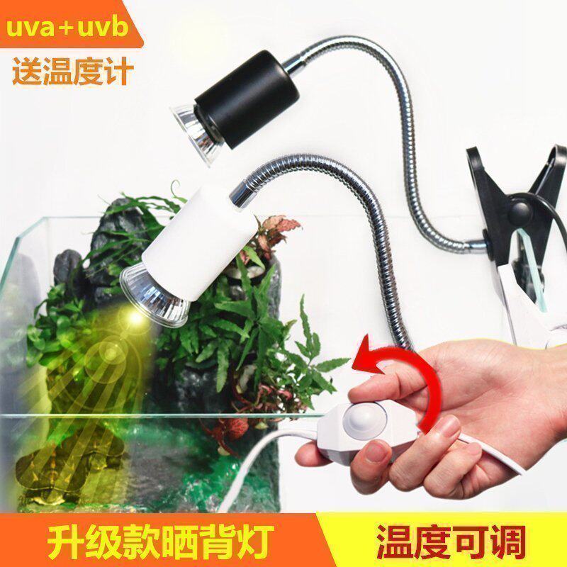 速发乌龟温背灯陆晒鹦鹉uva养龟用品保暖保龟鱼缸加热灯太照背