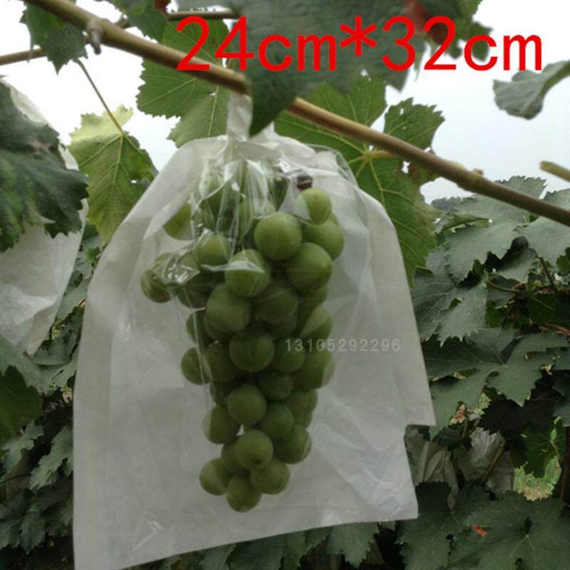 现货葡萄套袋专用防虫袋 开窗式果实套袋适Z用红提巨峰