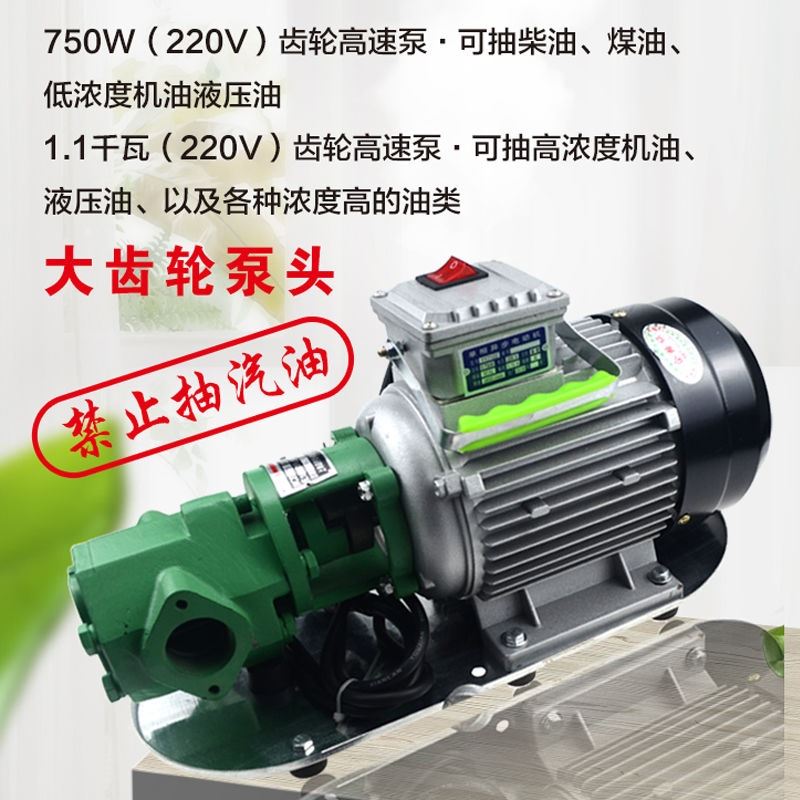 速发电动抽油泵12V24V220V油轮泵抽油机齿压油泵柴液抽油器加油机