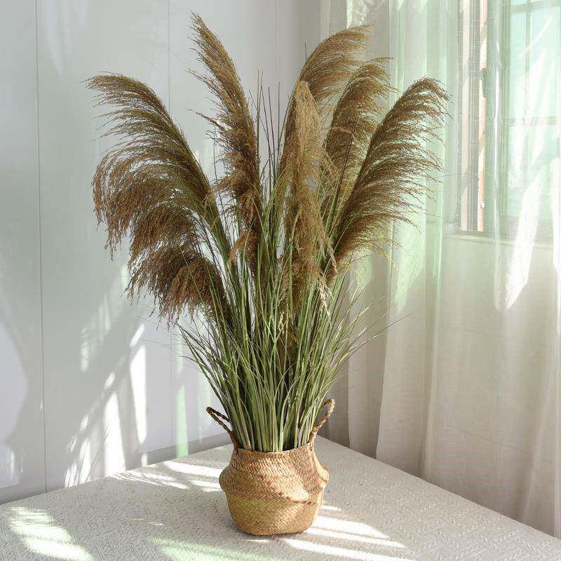 速发植然芦苇干花绿植摆件仿真草假花天造景物MYF-1845盆栽店居面