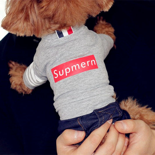 速发宾服运动装衣服泰迪衣服贵衣比熊小狗四脚衣服