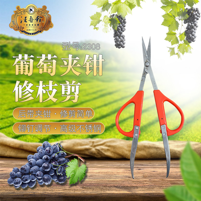 速发葡萄修果剪刀家用办公疏果剪采果剪枇杷修子采摘橘枝剪