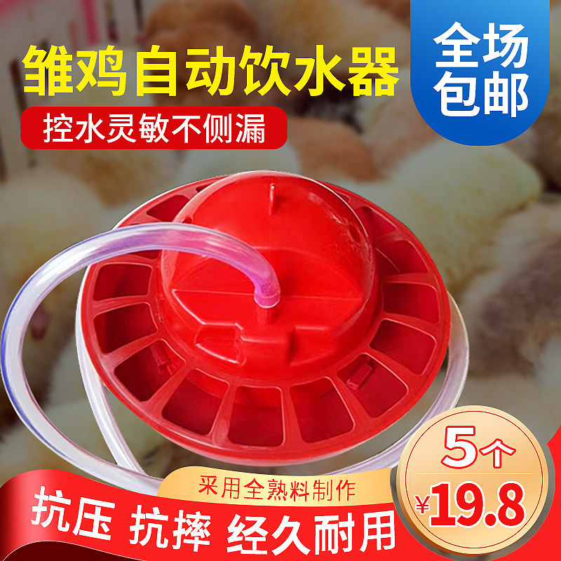 速发小鸡饮壶器鸽子鸭鹅自动喂水器鹌鹑补水雏配件器鸡饮水水养鸡