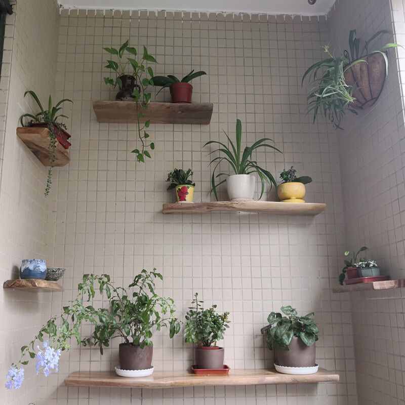 速发一字隔板原木自墙置物架然壁挂层上电视背景墙板装饰花架实木