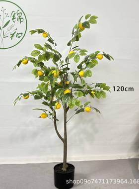 树HTJ拆卸款仿植物柠檬假客绿植盆栽网红真室内装饰厅摆件假植物