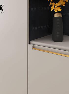 轻奢世亚静电喷粉柜洛门客厅电视56016柜拉抽屉柜吊带金属手柜橱