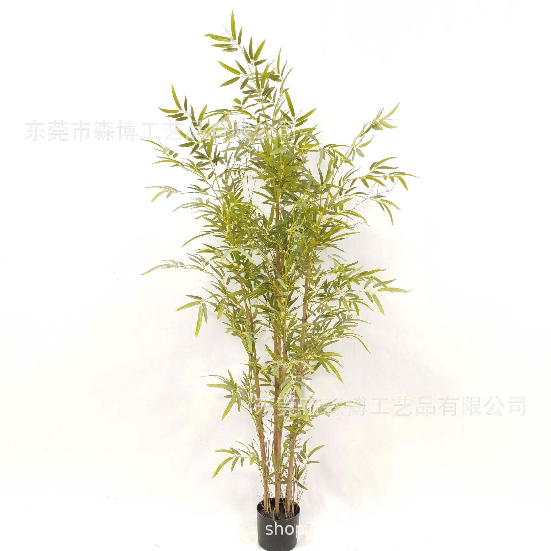 仿真真杆竹子盆栽软装园绿橱植NRZ林细叶子散尾葵针葵落地窗假植